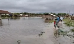 4 CWC stations in Assam record extreme flood levels in 2024