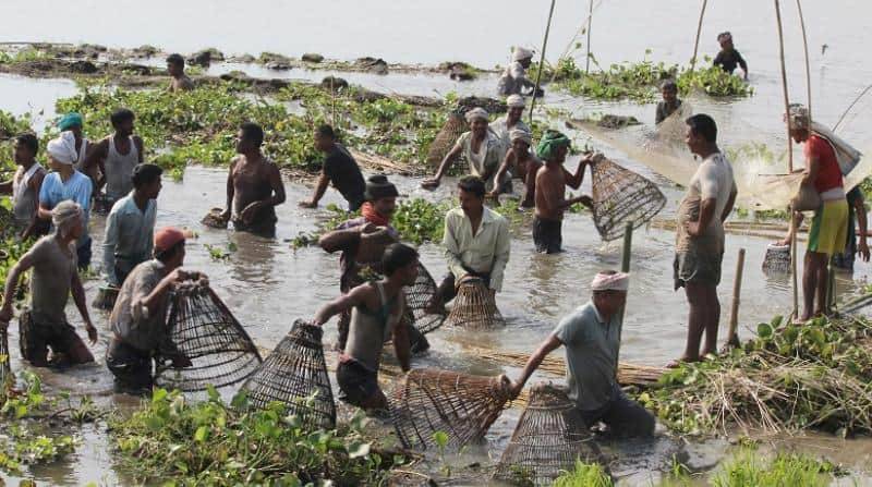 Assam: Hundreds Defy Fishing Ban In Kaziranga Amid Magh Bihu Celebrations