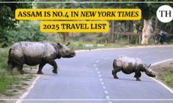 Watch: Assam ranks 4th on The New York Times ‘52 Places to Visit in 2025’ list; locals rejoice