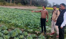 Assam’s Barpeta District Jail Becomes Farming Hub As Inmates Engage In Multi-Crop Cultivation