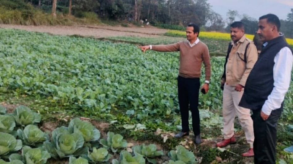 Assam’s Barpeta District Jail Becomes Farming Hub As Inmates Engage In Multi-Crop Cultivation