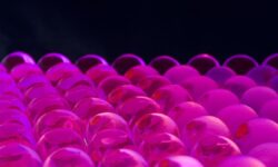 Hydrogel developed for targeted breast cancer therapy