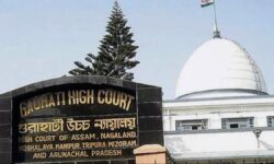 Gauhati High Court bans buffalo, bulbul fights