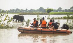 NGT notice to Assam's principal chief conservator over forest encroachment in Kamrup