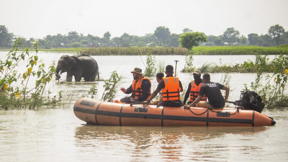 NGT notice to Assam's principal chief conservator over forest encroachment in Kamrup