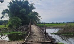 Broken roads, high dropout rates: The Majuli we often choose not to see