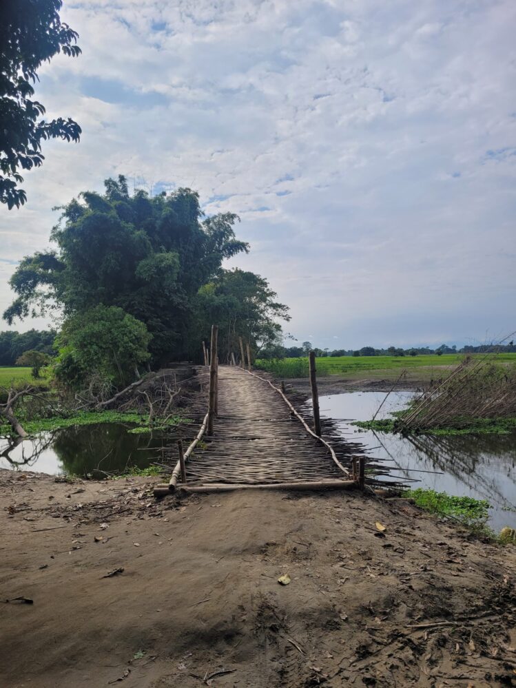 Broken roads, high dropout rates: The Majuli we often choose not to see