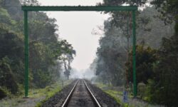 Centre clears oil & gas exploratory drilling in Hollongapar Gibbon Sanctuary