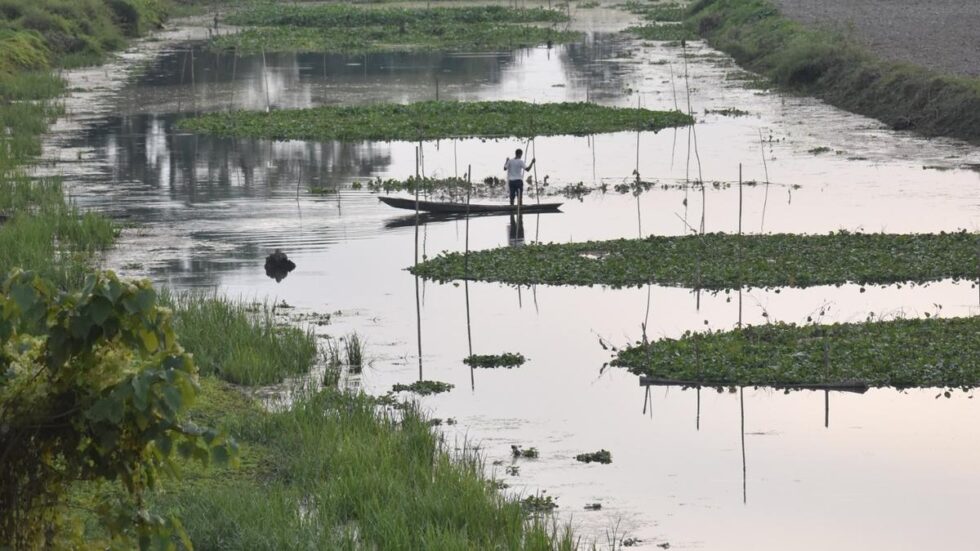 Assam bird sanctuary records 72% decline in bird species count in 27 years