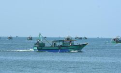 32 Indian fishermen from Tamil Nadu arrested by Sri Lankan Navy