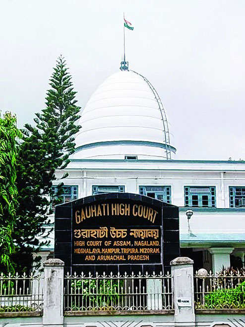 Gauhati HC Summons Assam Officials Over Illegal Coal Mining Delay In Dehing Patkai