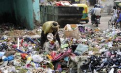 Segregating waste at source important for environment, says Supreme Court