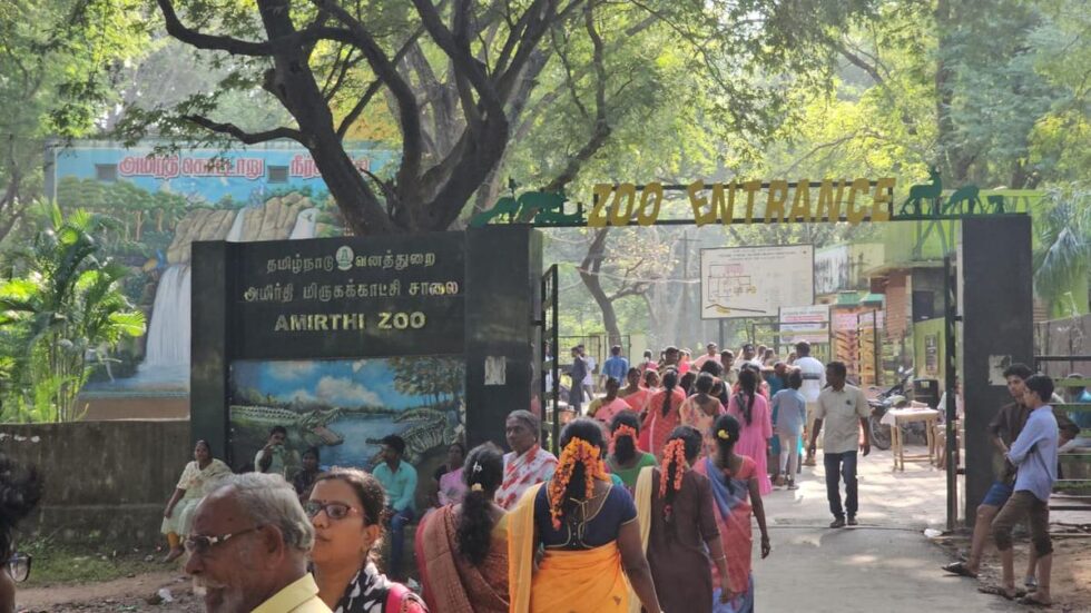 Young leopard to enthral visitors at Amirthi zoo 