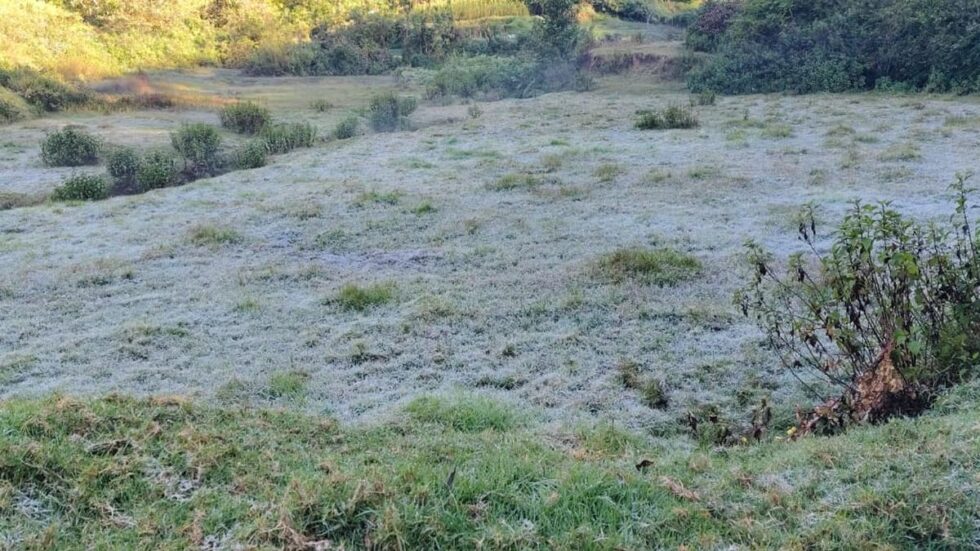 Munnar hill station shivers, Chenduvarai witnesses sub-zero temperature