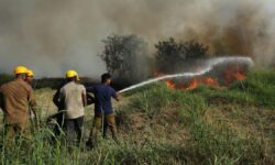 Dry grass catches fire on Willingdon Island