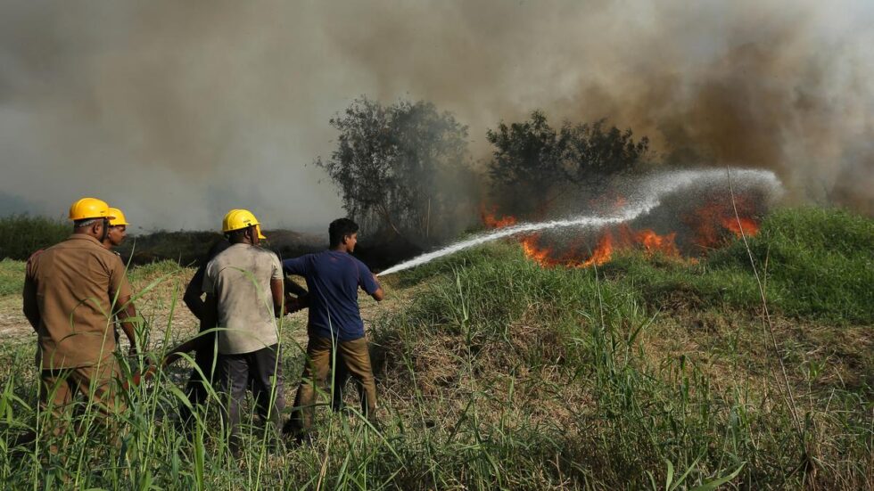 Dry grass catches fire on Willingdon Island