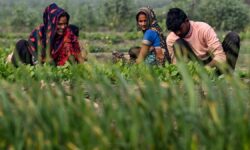 Agriculture is the first engine of growth: Nirmala Sitharaman