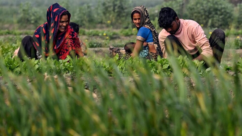 Agriculture is the first engine of growth: Nirmala Sitharaman