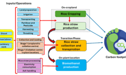 Turning waste to energy: Rice straw is powering Assam’s green future