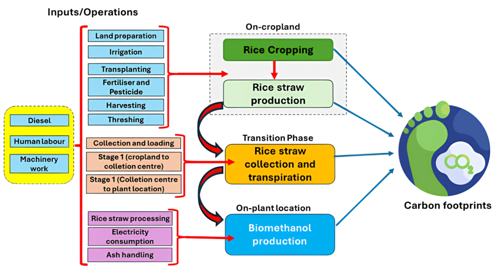 Turning waste to energy: Rice straw is powering Assam’s green future