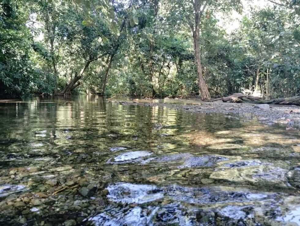 Assam Govt Notifies Chirang-Ripu Elephant Reserve As 8th National Park, To Be Named Sikhna Jwhwlao National Park