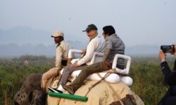 Assam: EAM S. Jaishankar And Ambassadors From 45 Countries Take Elephant Safari In Kaziranga National Park