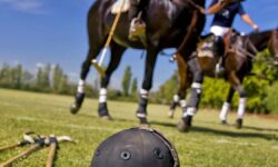 Game, grit and glory: Hyderabad hosts biggest arena polo showdown