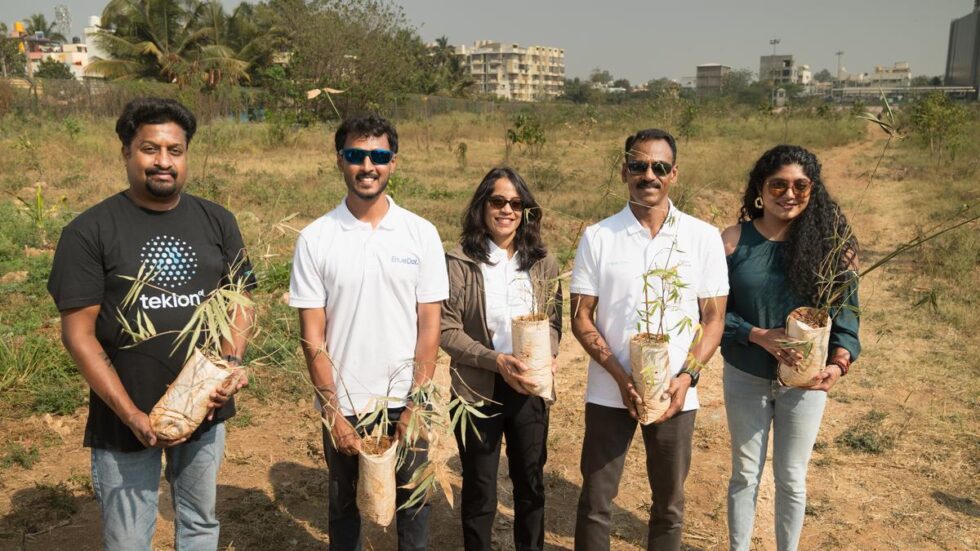 Tech firm staff for urban forest creation in Bengaluru