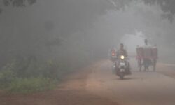 Mercury drops below 10°C in two Telangana districts