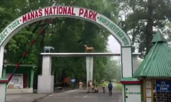 Assam: Manas National Park Investigating Officers Get Advanced Training To Strengthen Wildlife Protection