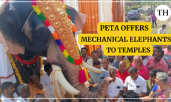 Watch: PETA India offers mechanical elephants to temples, mosques