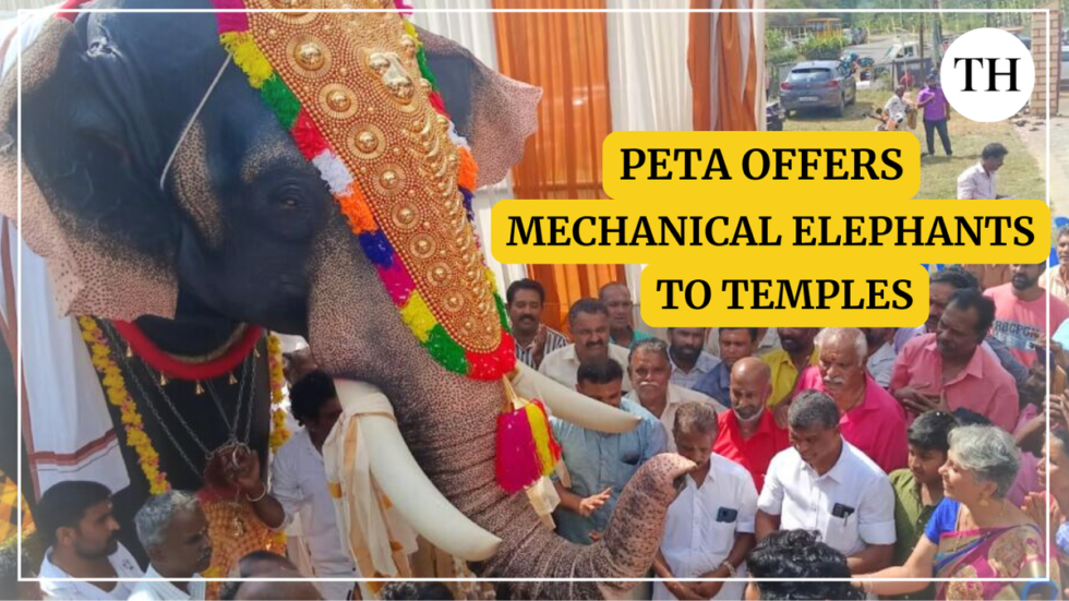 Watch: PETA India offers mechanical elephants to temples, mosques