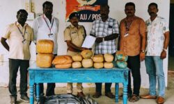 RPF seize 40 kg of ganja from train at Arakkonam railway station