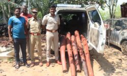 Police seize 500 kg of beefwood in Vellore