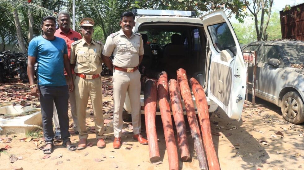 Police seize 500 kg of beefwood in Vellore