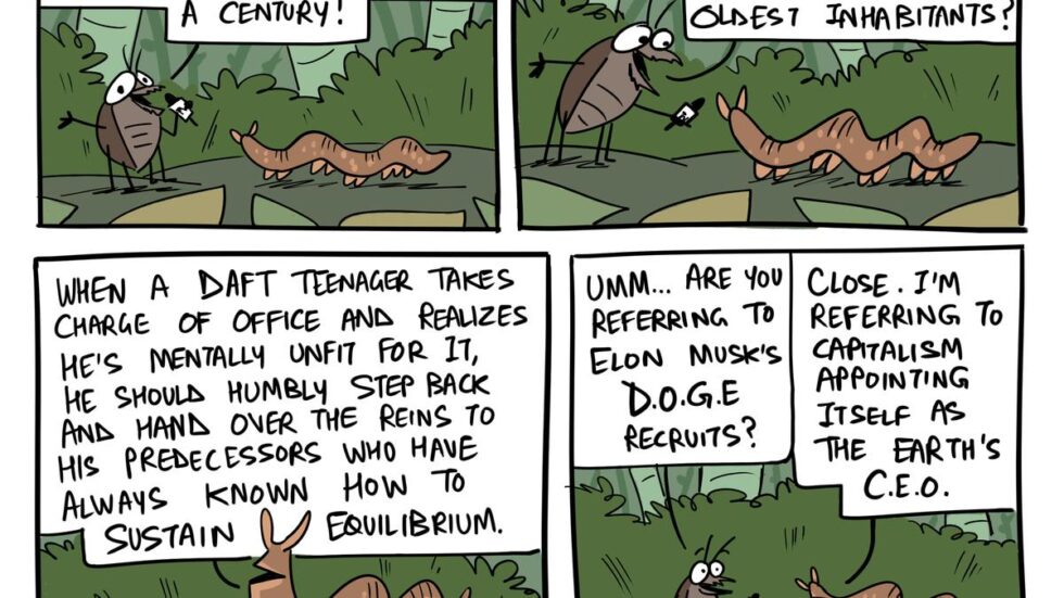 Earth Day | Green Humour by Rohan Chakravarty on the rediscovery of an ancient velvet worm species in Arunachal Pradesh