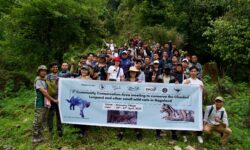Nagaland: Workshop held to protect clouded leopards, other small wild cats