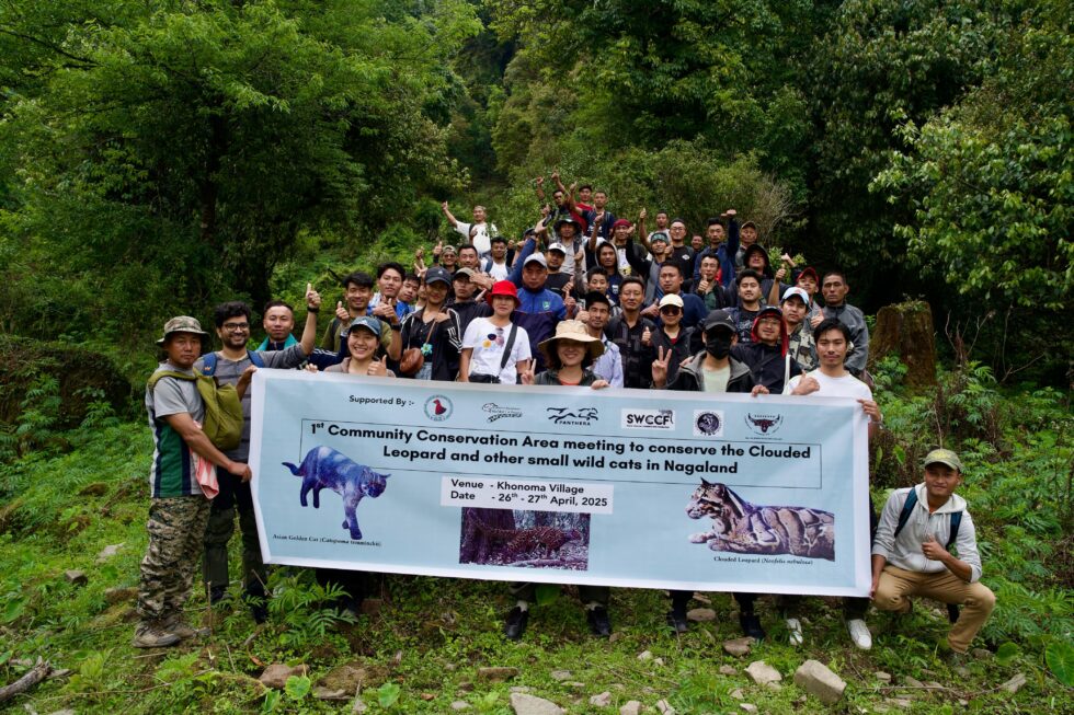Nagaland: Workshop held to protect clouded leopards, other small wild cats