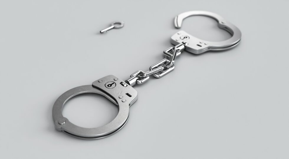 Nagaland: Forest dept driver held for alleged molestation of minor